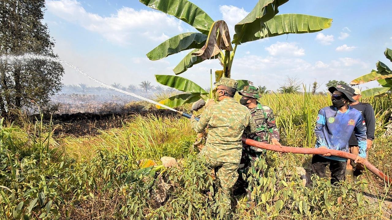 Tapin Jadi Materi Lapangan Pasis Sesko TNI dalam Mengkaji Karhutla Gambut