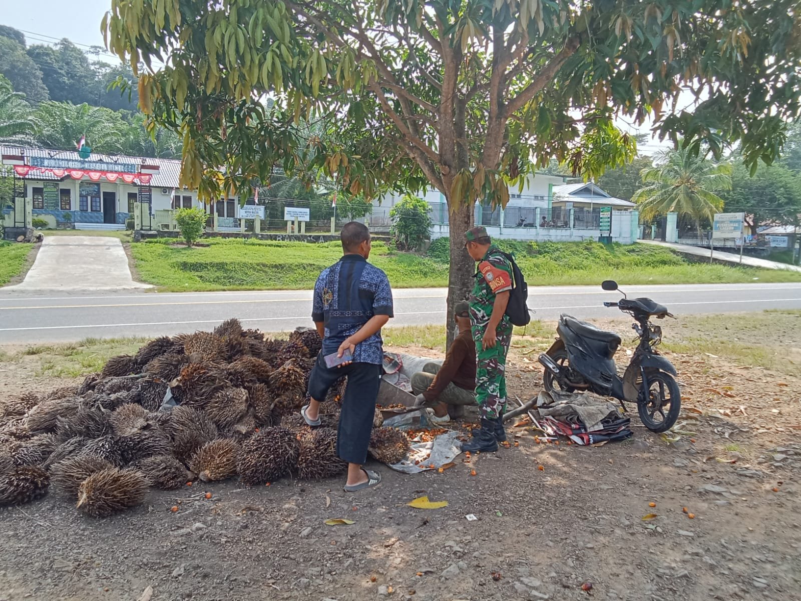 Harga Sawit Tak Menentu, Babinsa Setia Bakti Serap Keluhan Petani di Aceh Jaya